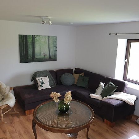 Osteblick Apartment Oberndorf  Екстериор снимка